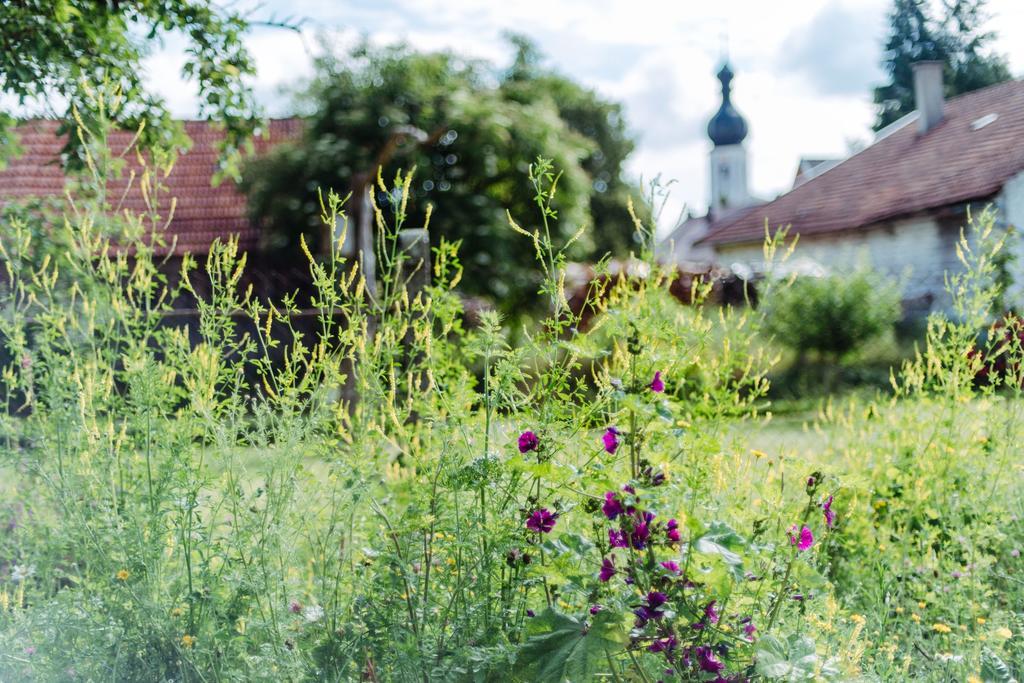 Historischer Pfarrhof Niederleierndorf Langquaid エクステリア 写真